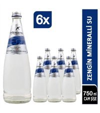 San Benedetto Sade Maden Suyu 6'lı 750 ml