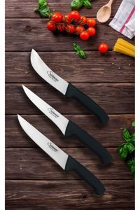 Sürmene Berry Basics Paslanmaz Çelik 3 Parça Şef Bıçakları Seti