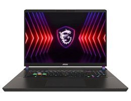 MSI NB Vector 17 HX A14VGG Harici GeForce RTX 4070 Intel Core i9 14900HX 32 GB DDR5 2 TB SSD 17 inç QHD Windows 11 Gaming Laptop