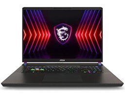 MSI Vector 17 HX A14VİG-879XTR Harici GeForce RTX 4090 Intel Core i9 14900HX 32 GB DDR5 2 TB SSD 17 inç QHD Freedos Gaming Laptop