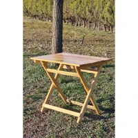 Alveta 50x70 cm Dikdörtgen Ahşap Katlanır Kamp Masası Kahverengi