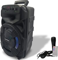 Platoon PL-4530 Bluetooth Hoparlör Siyah