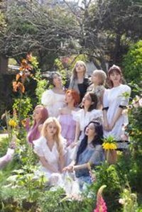 Animeandyourworld A4 60 Yaprak Çizgisiz Telli Sert Kapak 1 Adet Twice Okul Defteri