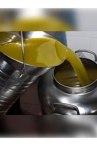 Bahçeden Organik Filtresiz Polifenollü Teneke Sızma Zeytinyağı 5 lt