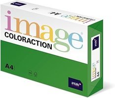 Paperandpicture A4 80 gr 40 Yaprak Desenli 1 Top Çok Renkli Desenli Kağıt