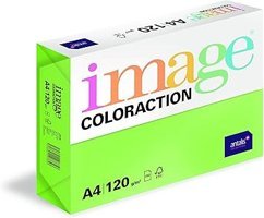 Ilford A4 70 gr 25 Yaprak Parlak 1 Top Yeşili Fotoğraf Kağıdı