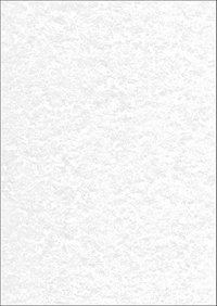 Paperandpicture A4 29.6 gr 20 Yaprak Desenli 1 Top Çok Renkli Desenli Kağıt