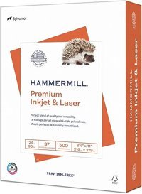 Evergreen Goods Ltd A4 29.7 gr 10 Yaprak Yapışkanlı Çizgisiz 1 Top Beyaz Kağıt