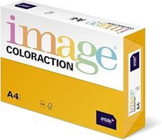 Avery Zweckform 2556 A4 70 gr 30 Yaprak Mat 2 Top Beyaz Fotoğraf Kağıdı