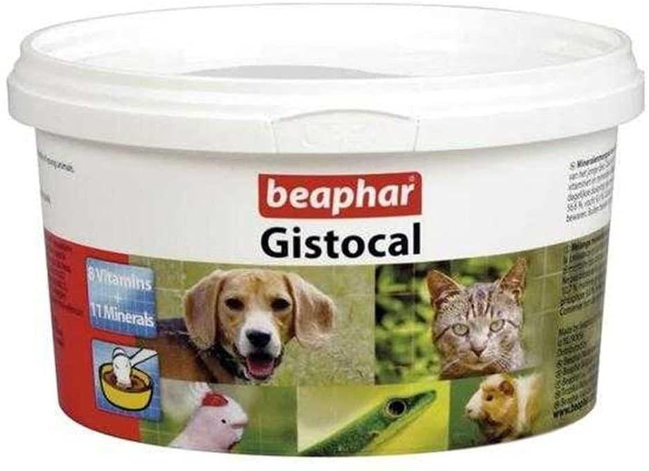 Beaphar Multivitamin Bağışıklık Güçlendirici Yetişkin Kedi Vitamini Toz 250 gr