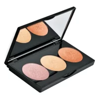 Farmasi Ten Highlighter Paleti