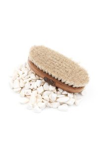 Maryann Cosmetic Selülit Giderici Sapsız At Kılı Fırçası