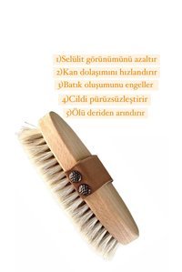 Konaklı Selülit Giderici Sapsız At Kılı Fırçası