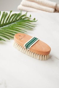 Limglow Selülit Giderici Sapsız At Kılı Fırçası Seti