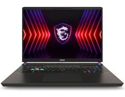MSI Vector 17 HX A14VIG-879XTR Harici GeForce RTX 4090 Intel Core i9 14900HX 32 GB Ram 2 TB SSD 17 inç QHD FreeDos Oyuncu Laptop