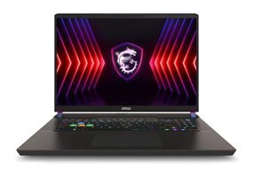 MSI Vector 17 HX A14VIG-879XTR Harici GeForce RTX 4090 Intel Core i9 14900HX 32 GB GDDR6 Ram 2 TB SSD 17 inç QHD FreeDos Oyuncu Laptop