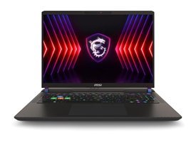 MSI NB Vector 16 HX A14VHG-497XTR Harici GeForce RTX 4080 Intel Core i9 14900HX 32 GB GDDR6 Ram 1 TB SSD 16 inç QHD FreeDos Oyuncu Laptop