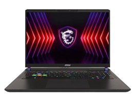 MSI NB Vector 16 HX A14VHG-497XTR Harici GeForce RTX 4080 Intel Core i9 14900HX 32 GB DDR5 Ram 1 TB SSD 16 inç QHD FreeDos Oyuncu Laptop