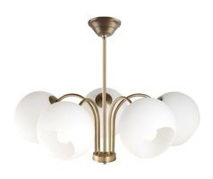 Fer Avize Daisy 5'li Siyah Sarkıt Modern Metal Salon-Oturma Odası Avize