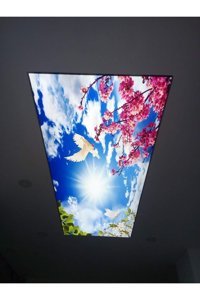 Manogrup Avize Aydınlatma 3'lü Gri Plastik Modern Plastik Salon-Oturma Odası Avize