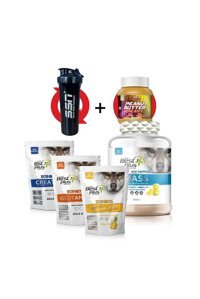 Bpn Best Plus Nutrition Limon Makaron Aromalı 45 Servis Kilo Aldırıcı Gainer 4500 gr Toz + Bcaa + Glutamin + Kreaitin