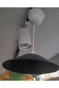 Polataydinlatma Linda 6'lı Altın Küre Modern Cam Salon-Oturma Odası Avize