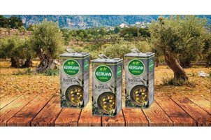 Ayvalık Organik Polifenollü Soğuk Sıkım Erken Hasat Teneke Sızma Zeytinyağı 3x5 lt