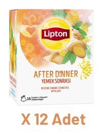 Lipton After Dinner Nane-Rezene-Zencefil Karışık Bitki Çayı 15x12 Adet