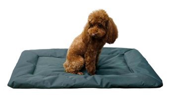 Yiweng Yıkanabilir Küçük Irk İç-Dış Mekan Köpek Yatağı Yeşil
