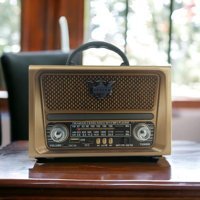 Everton RT-780 10 W Radyolu Taşınabilir Işıklı Kahverengi Bluetooth Hoparlör