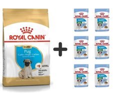 Royal Canin Pug Kümes Hayvanlı Küçük Irk Yavru Köpek Ödül Maması 1.5 kg