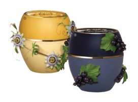 Oriflame Tender Care Çarkıfelek Meyveli-Frenk Üzümlü Yetişkin Dudak Nemlendirici Balm 2x15 gr