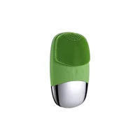 Puni 200 mAH Tüm Ciltler İçin 1 Başlıklı Silikon Şarjlı Titreşimli Yüz Temizleme Cihazı Yeşil