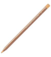 Caran d'Ache Slate Grey 495 Tekli Kuru Boya Kalemi