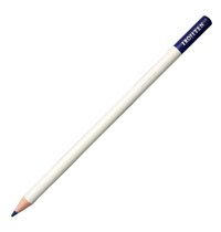 Bic Evolution 12'li Jumbo Üçgen Kuru Boya Seti