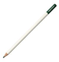 Bic 36'lı Kuru Boya Seti