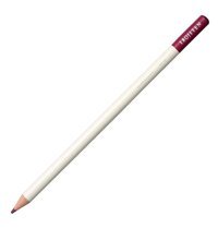 Tombow Irojiten Seascape 30'lu Kuru Boya Seti