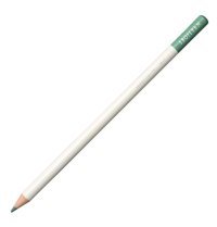 Tombow Irojiten Silver Gray Tekli Kuru Boya Kalemi