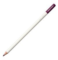 Bic 829029 12'li Kuru Boya Seti