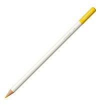 Bic 987869 24'lü Kuru Boya Seti