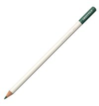 Bic 950525 24'lü Kuru Boya Seti