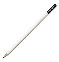 Bic 958190 24'lü Kuru Boya Seti