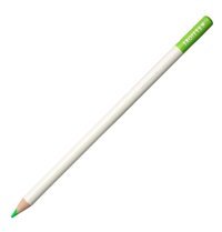 Bic Evolution 24'lü Kuru Boya Seti