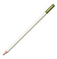 Bic T8052 24'lü Kuru Boya Seti
