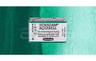 Schmincke Horadam Aquarell 534 Permanent Green Olive Seri 2 Tekli Kuru Boya Kalemi