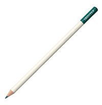 Bic 9641481 24'lü Kuru Boya Seti