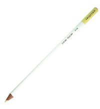 Tombow Dual Yellow Gold 026 Tekli Kuru Boya Kalemi