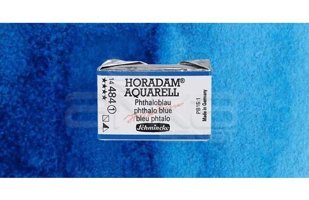 Schmincke Horadam Aquarell 511 Chrom Oxide Green Brill Seri 2 Tekli Kuru Boya Kalemi