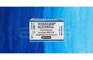 Schmincke Horadam Aquarell 498 Dark Blue Indigo Seri 3 Tekli Kuru Boya Kalemi