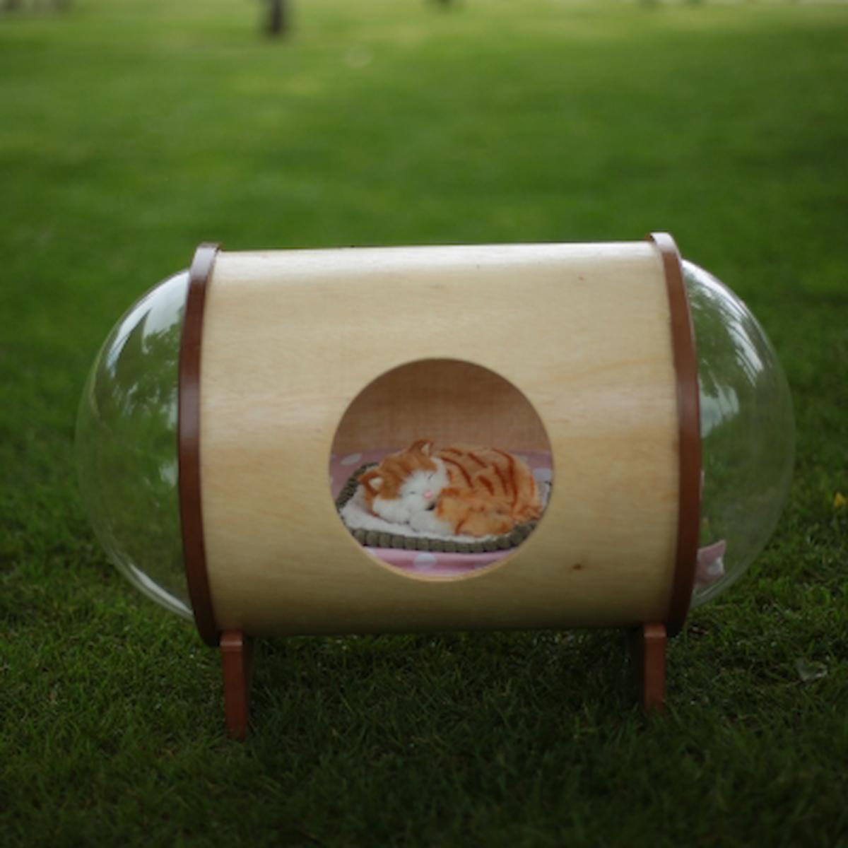 Cat Housee Panoromik Camlı Silindir Dış Mekan-İç Mekan Kedi Evi Ahşap Rengi
